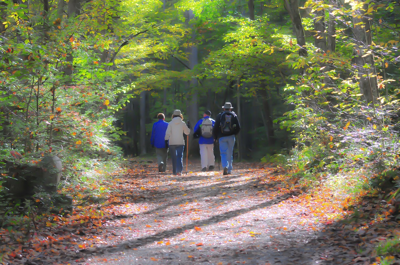 Safety in Hiking: Do You Know the Basics?